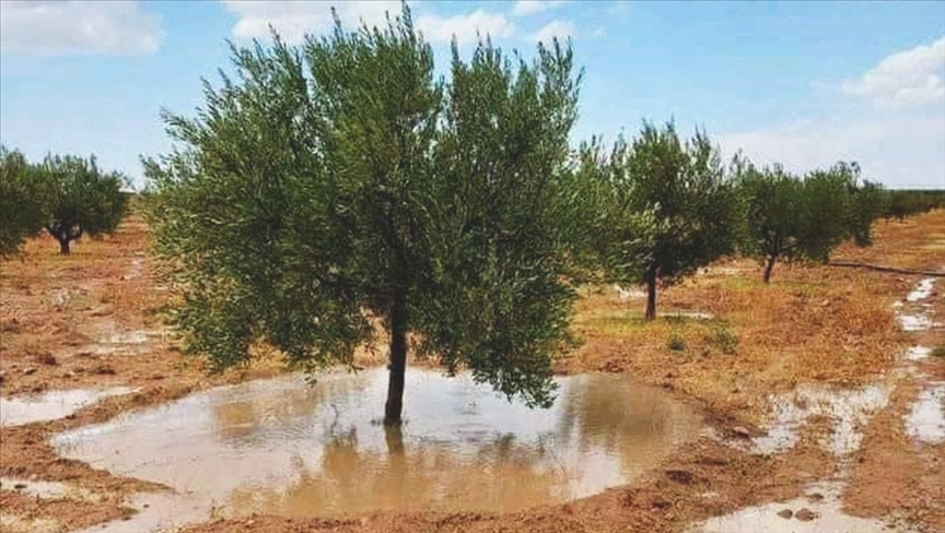 تهاطلت بكميات هامة في أغلب جهات الجمهورية..   تساقطات استثنائية وتحسن في إيرادات السدود
